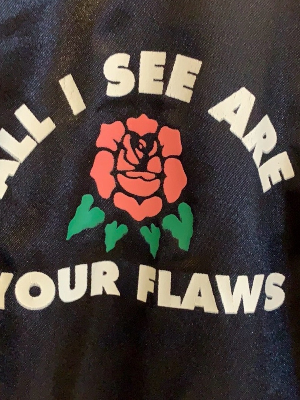 Flying Coffin All I See Are Your Flaws Rose Coach Jacket Black Unisex - Picture 5 of 10